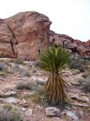 Klik za večjo sliko