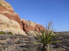 Klik za večjo sliko