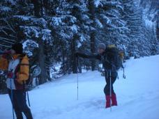 Klik za večjo sliko