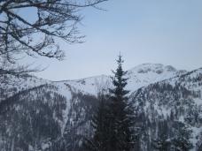 Klik za večjo sliko