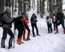 Klik za večjo sliko