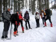 Klik za večjo sliko