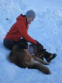 Klik za večjo sliko