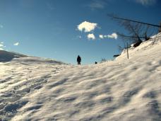 Klik za večjo sliko