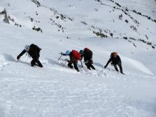 Klik za večjo sliko