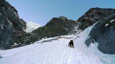 Klik za večjo sliko