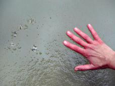 Klik za večjo sliko