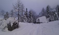 Klik za večjo sliko