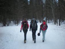 Klik za večjo sliko