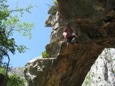 Klik za večjo sliko