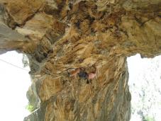 Klik za večjo sliko