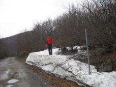 Klik za večjo sliko