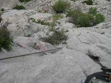 Klik za večjo sliko