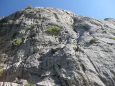 Klik za večjo sliko