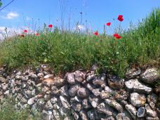 Klik za večjo sliko