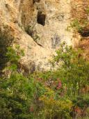 Klik za večjo sliko