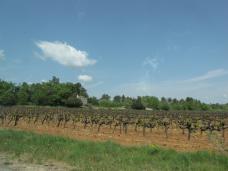 Klik za večjo sliko