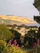 Klik za večjo sliko