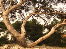 Klik za večjo sliko