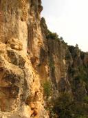 Klik za večjo sliko