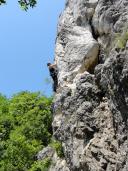 Klik za večjo sliko