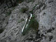 Klik za večjo sliko