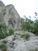 Klik za večjo sliko