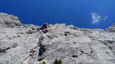 Klik za večjo sliko