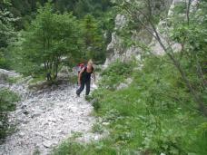 Klik za večjo sliko