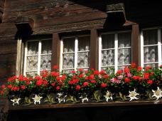 Klik za večjo sliko