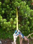 Klik za večjo sliko