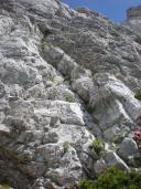 Klik za večjo sliko