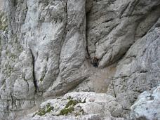 Klik za večjo sliko