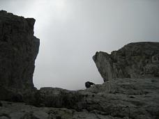 Klik za večjo sliko