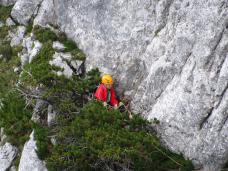 Klik za večjo sliko