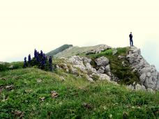 Klik za večjo sliko