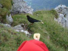 Klik za večjo sliko