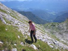 Klik za večjo sliko