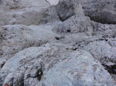 Klik za večjo sliko