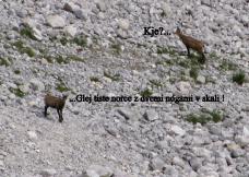 Klik za večjo sliko