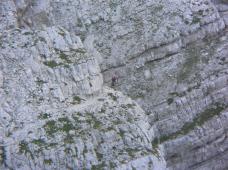 Klik za večjo sliko