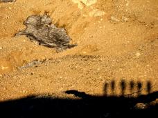 Klik za večjo sliko