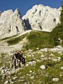 Klik za večjo sliko