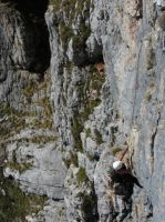 Klik za večjo sliko