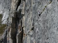 Klik za večjo sliko