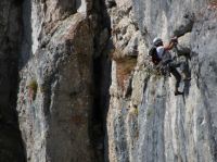 Klik za večjo sliko