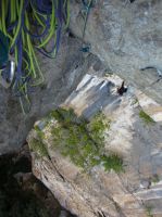 Klik za večjo sliko