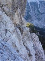 Klik za večjo sliko