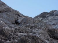 Klik za večjo sliko