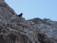 Klik za večjo sliko